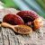 Reishi (Lesklokôrovka lesklá) - extrakt 30% polysacharidov