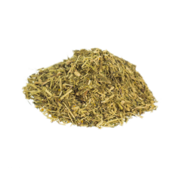 Mexican tarragon (Tagetes lucida)