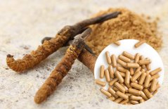 Cordyceps kapsule - extrakt s 50% polysacharidmi