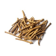African dream root (Silene capensis) - koreň