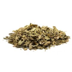 Calea zacatechichi (dream herb) - listy