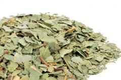 Eukalyptus (Eucalyptus globulus) - drvené listy