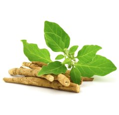 Ashwagandha (Ašvaganda, Withania somnifera) - sekaný koreň