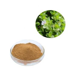 Brahmi - extrakt s 20% bakopasidov