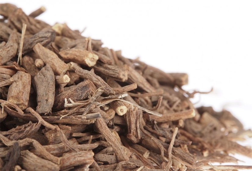 Valeriana officinalis - nasekaný koreň