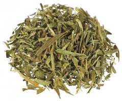 Maconha Brava (Zornia latifolia)
