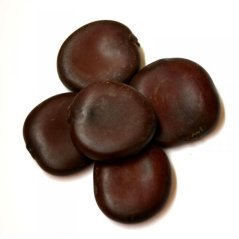 African Dream Herb (Entada rheedii)