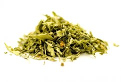 Sinicuichi (Heimia salicifolia)