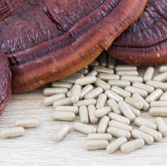 Reishi (Lesklokôrovka lesklá) - kapsule extrakt 30% polysacharidov