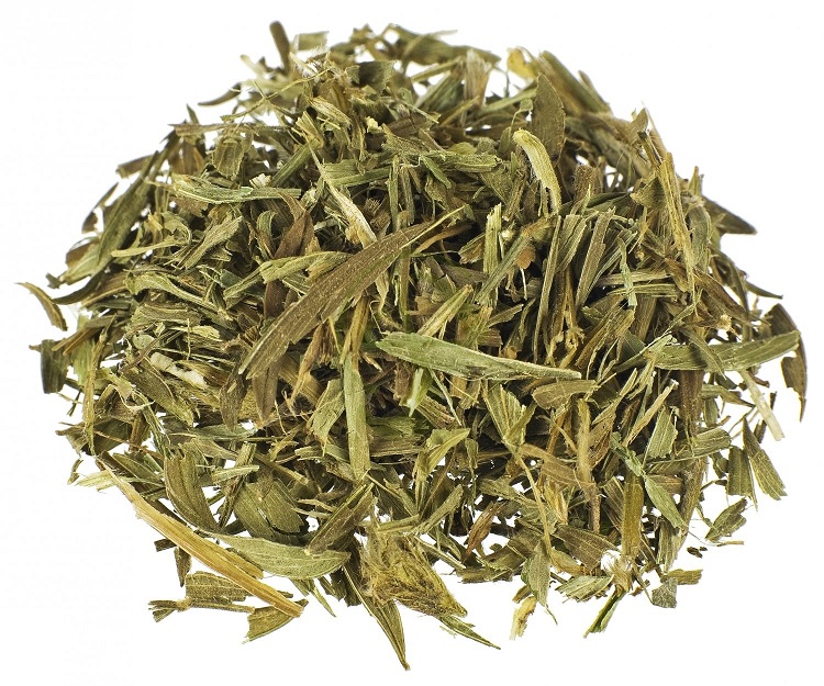 Maconha Brava (Zornia latifolia) Maconha Brava (Zornia latifolia)