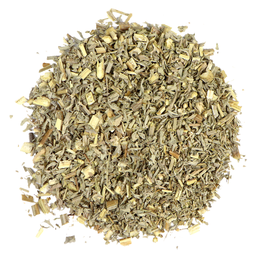 Wormwood (Artemisia absinthium) Wormwood (Artemisia absinthium)