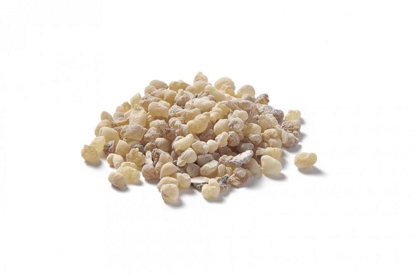 Kadidlo (Olibanum) Eritrea - živica - Váha: 50 g