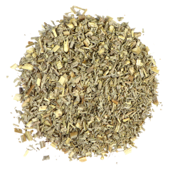 Wormwood (Artemisia absinthium)