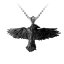Prívesok Black Raven