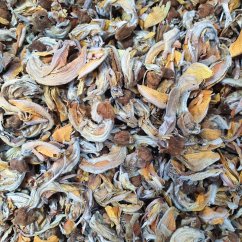 butea_superba_red_kwao_krua butea_superba_red_kwao_krua